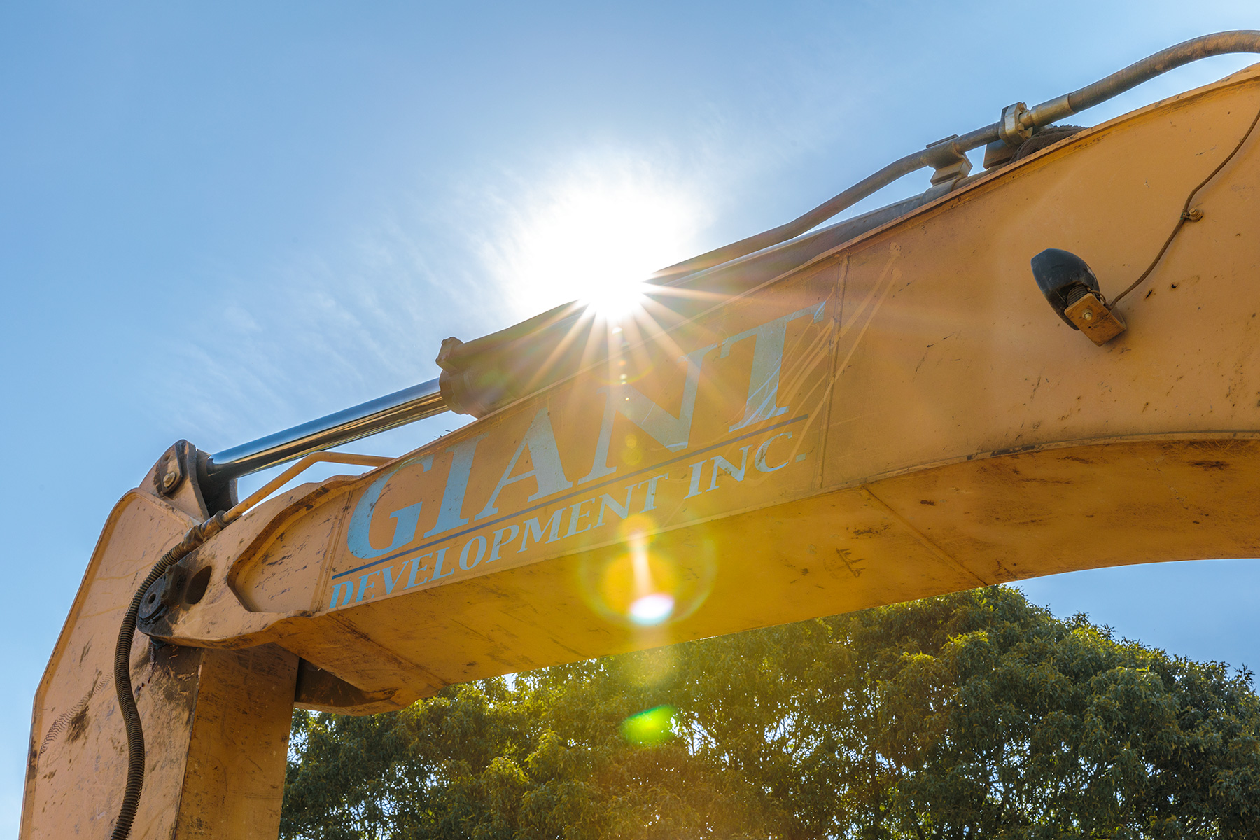 Giant-Development-1-82